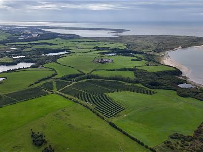 Click to view more details